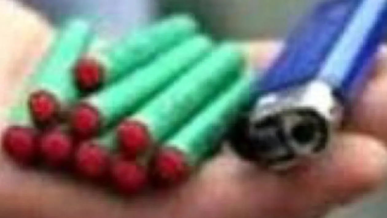 Protestul din Constanta s-a incheiat; mai multi manifestanti au aruncat cu petarde si au aprins torte