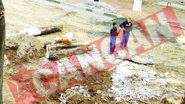 Primarul Negoita a masacrat un parculet din sectorul 3