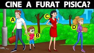 Test IQ exclusiv pentru genii | Care dintre acești 4 oameni a furat pisica?