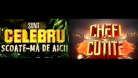 Pro TV, lovitură devastatoare pentru Antena 1! Ce s-a întâmplat aseară, în timpul emisiunilor Chefi la cuţite şi Sunt celebru, scoate-mă de aici