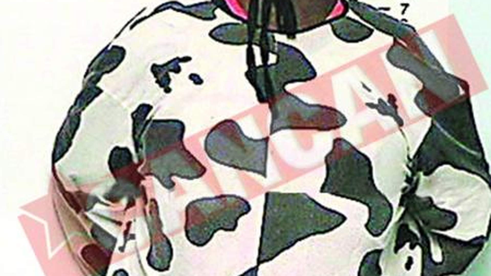 S-a dus vaca la proces