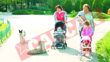 Atentie, ne imbolnavesc maidanezii!