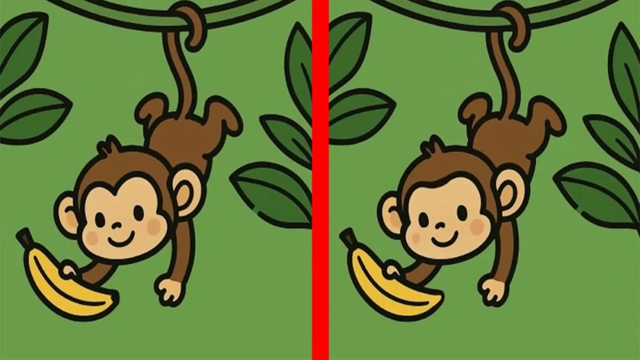 TEST IQ | Câte diferențe sunt între maimuța din stânga și cea din dreapta? Geniile răspund corect în maximum 23 de secunde