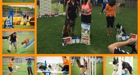 Galerie foto - poza 2