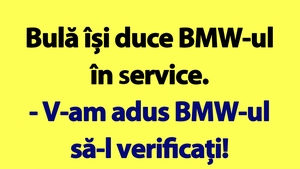 BANC | Bulă are probleme cu BMW-ul