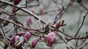 Prognoza meteo azi, 17 martie 2026. Răcire în Transilvania: temperaturi aproape de îngheț în depresiunile montane