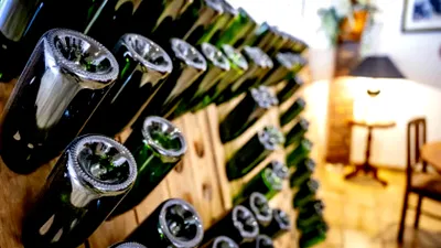 Răsturnare totală! Generația care fugea de alcool e campioană la petrecerile verii