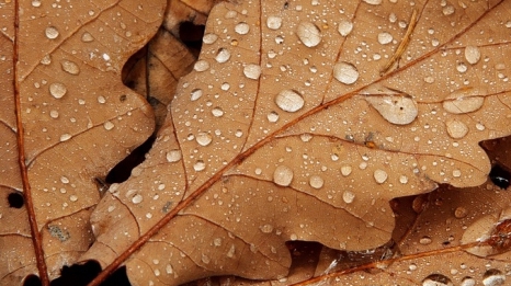 METEO 24 SEPTEMBRIE! Ce temperaturi se înregistrează duminică