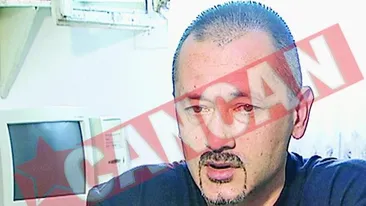 Pledeaza nevinovat pe blog