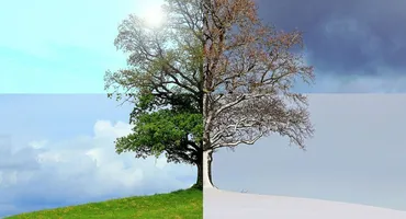 Orașul din România care a avut 2 anotimpuri în aceeași zi! De la iarnă, la primăvară și apoi iar IARNĂ