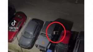 Video| Imaginile care au indignat internauții! Un tânăr aruncă scaune și sticle de la balconul unui hotel din Mamaia