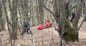 Galerie foto - poza 3