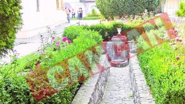 Izvorul tamaduitor de patima alcoolului