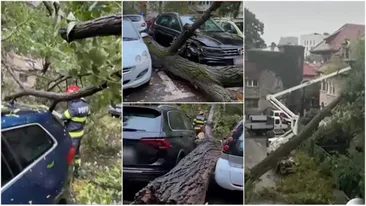 Pagube de sute de mii de euro după furtuna din Capitală: zeci de mașini distruse! Ce trebuie să faci, ca să fii despăgubit