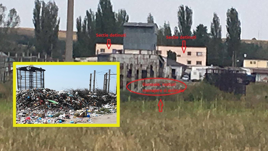 Penitenciarul Pelendava din Craiova, transformat într-o groapă de gunoi! Deținuții au contractat boli delicate și sunt revoltați