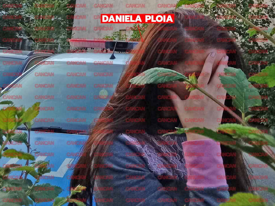 Daniela Ploia a provocat un accident