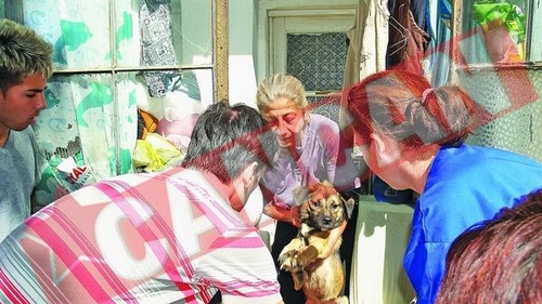 Traia in casa cu 20 de maidanezi si 15 pisici