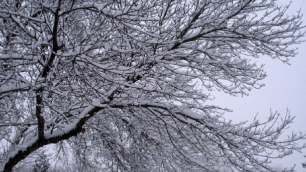 Meteo 15 ianuarie. Afla cum va fi vremea joi si cum sa te imbraci astazi