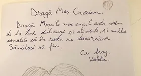 Galerie foto - poza 2