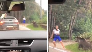 Imagini înfiorătoare! O „bombă sexy” a fost la un pas să fie sfâșiată de urs, pentru o poză. Alți turiști râdeau în timp ce o filmau…