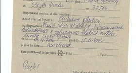 Galerie foto - poza 3