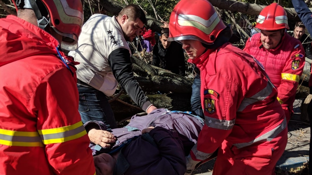 Un copac doborât de vânt s-a prăbușit peste o femeie, la Craiova. Șase județe din sudul țării se află sub cod portocaliu de vânt
