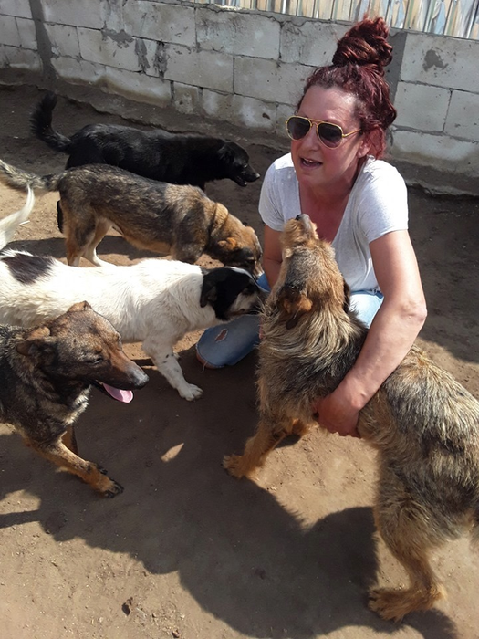 Daniela Popovici a anunțat că vrea să preia animalele din curtea  presupusului criminal