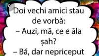 BANCUL ZILEI | Ce este șahul?