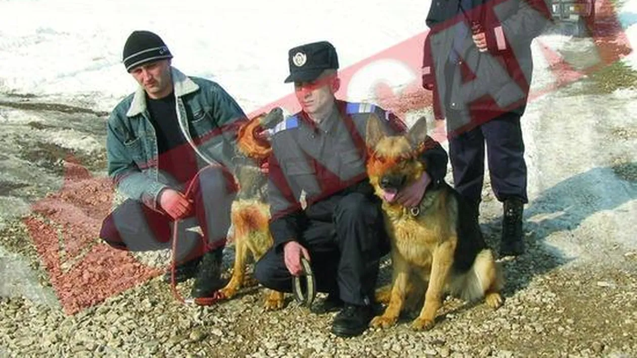 Antrenati sa salveze oamenii din avalanse