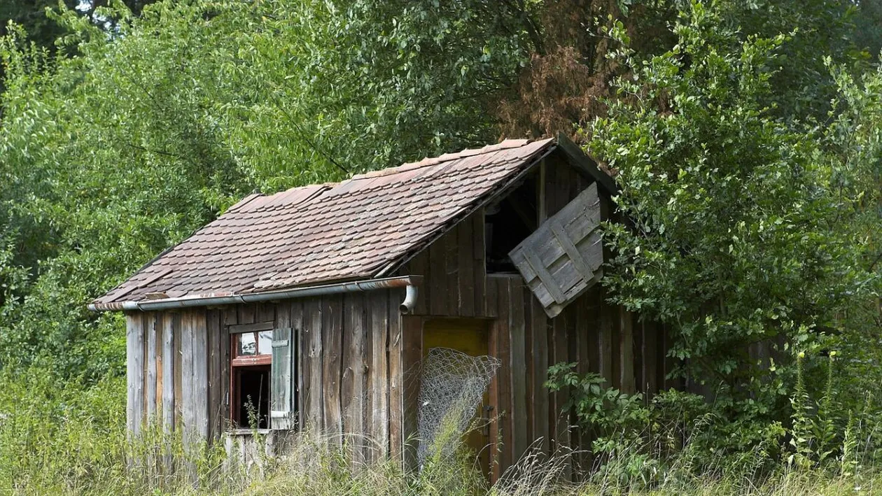 Mirella a dispărut în anul 1997 și părinții susțineau că a plecat. Vecinii au văzut-o ultima oară ca adolescentă. Adevărul macabru s-a aflat abia în 2025