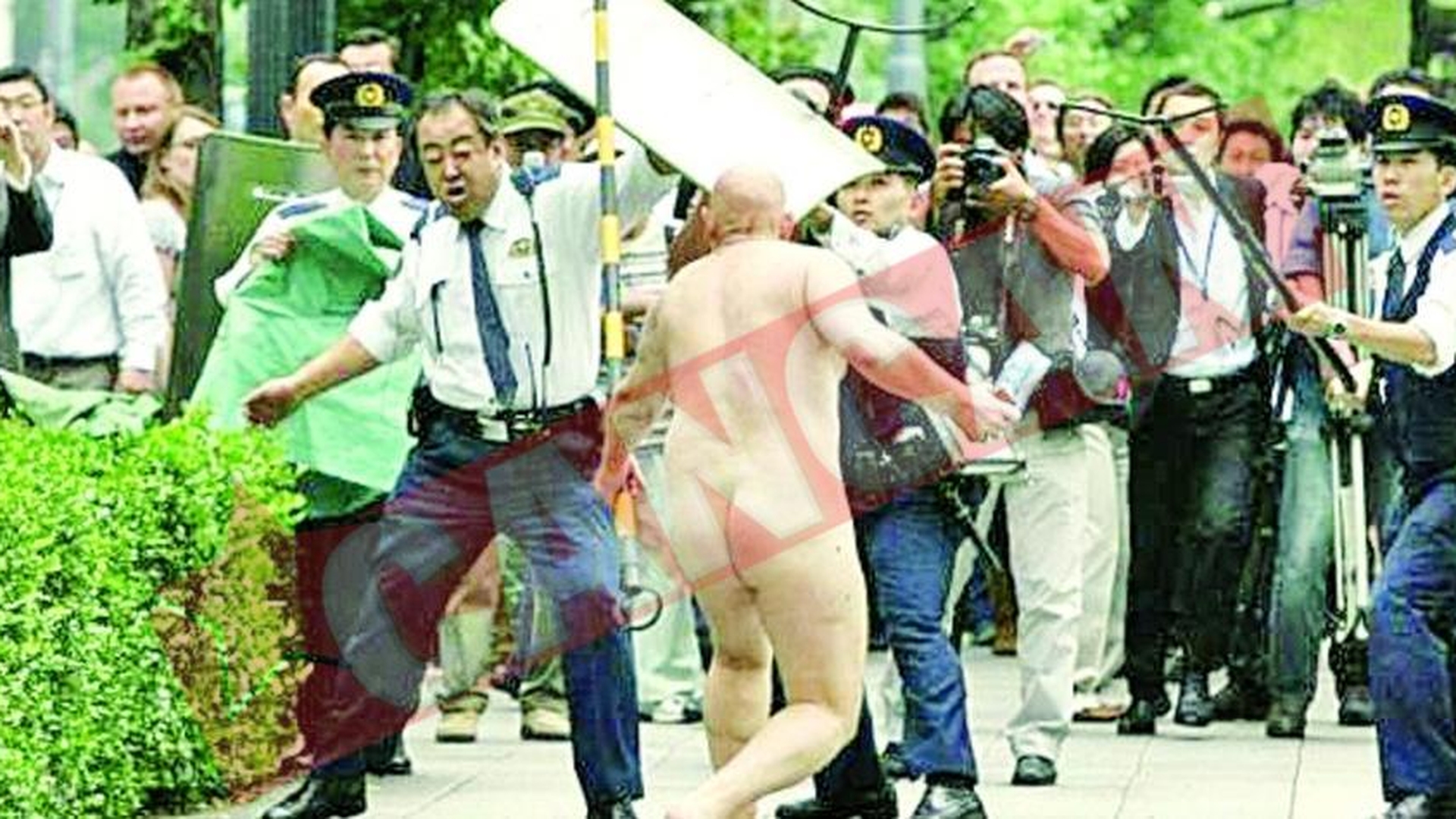 Gol la palatul regal