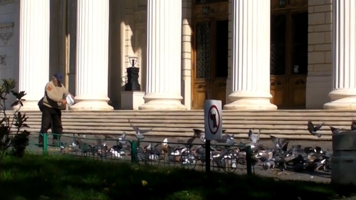 Un batranel simpatic din Bucuresti pare rupt din filmul "Singur acasa"! Vezi ce-a facut!