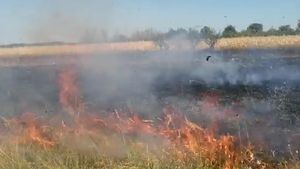 S-a dezlănțuit iadul în Argeș! O bătrână a provocat un incendiu de proporții. VIDEO