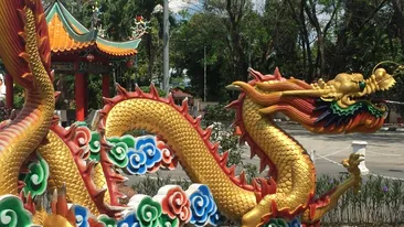 Zodiac Chinezesc pentru luna iunie 2020. Cele 3 zodii pentru care urmează o vară de vis