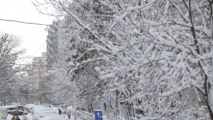 Prognoza meteo emisă de ANM. Se întorc ninsorile în România! Ce zone sunt vizate