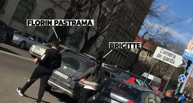 Galerie foto - poza 4