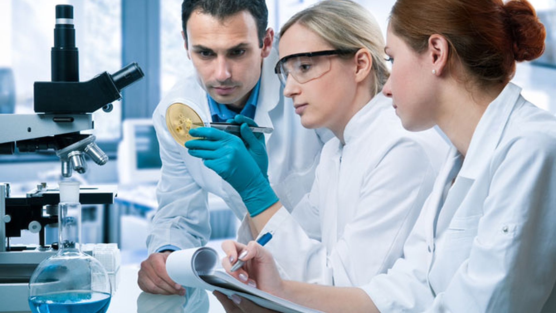 E.coli si controversele unei epidemii