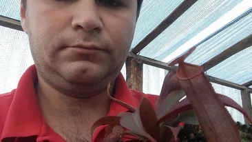Le-a închis într-o seră şi le hrăneşte cu... Am pătruns în ”maternitatea” de plante carnivore!