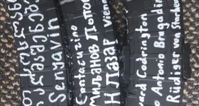 Galerie foto - poza 3