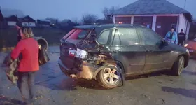 Galerie foto - poza 1