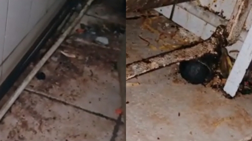 Imaginile groazei! Ce au găsit inspectorii ANPC într-un restaurant chinezesc din București