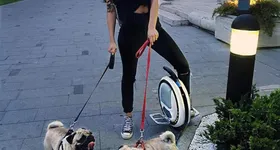 Galerie foto - poza 2