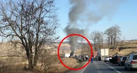 Galerie foto - poza 2