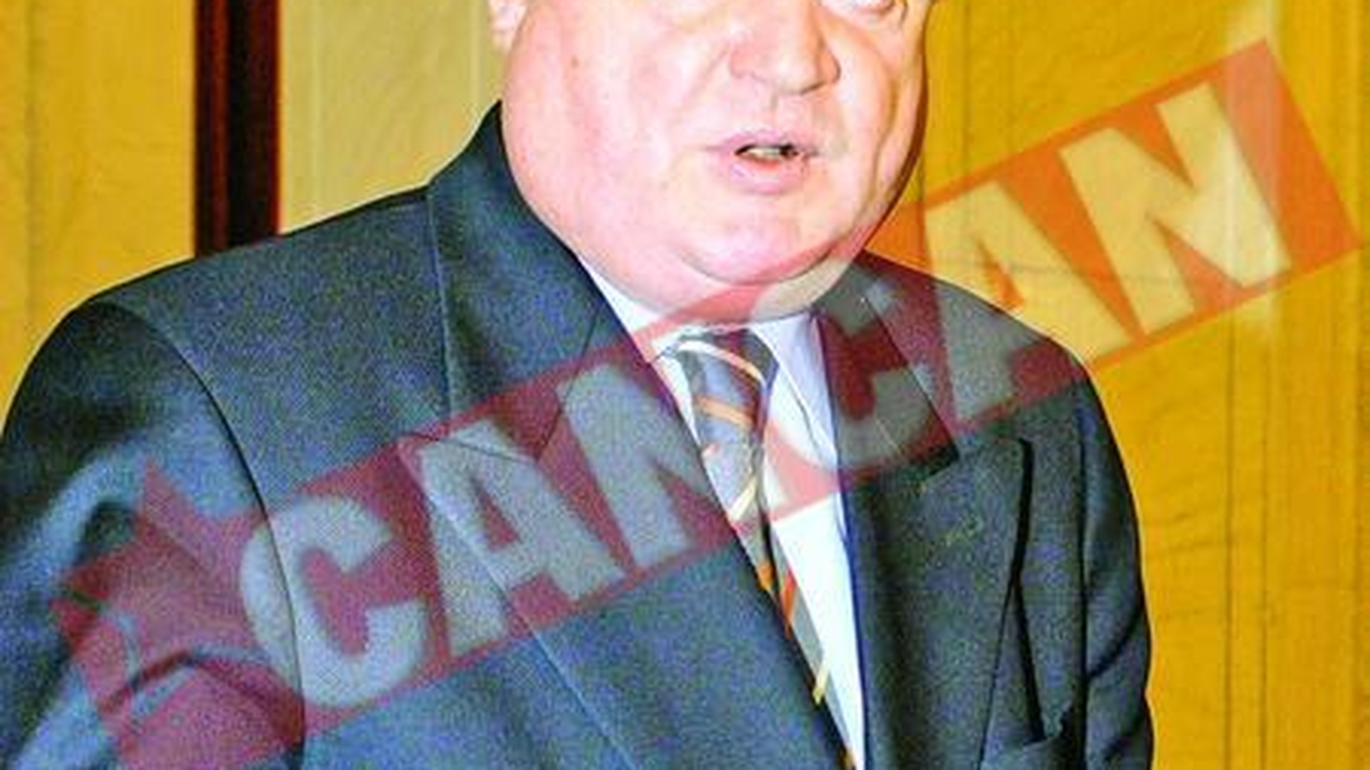 Blaga spune ca Videanu va plati, daca a gresit