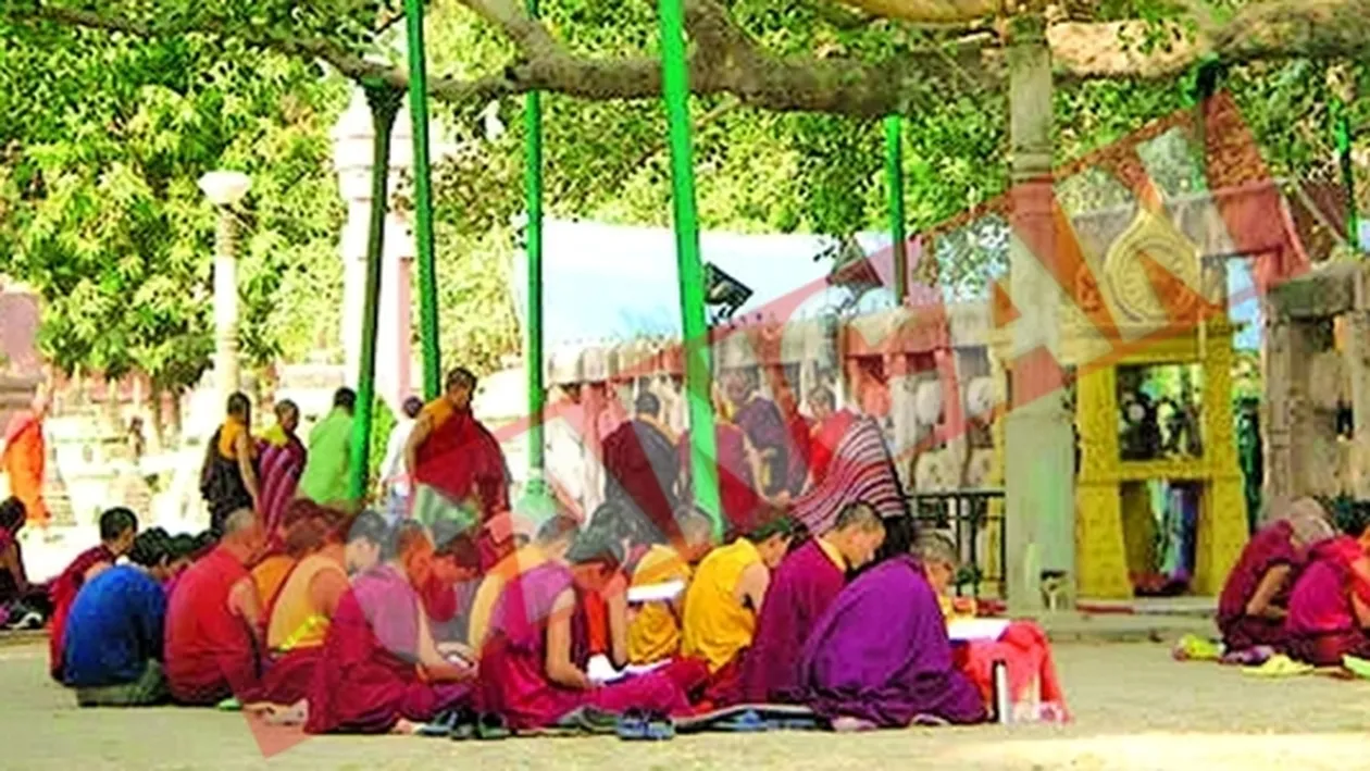 Copacul lui Buddha e pe moarte