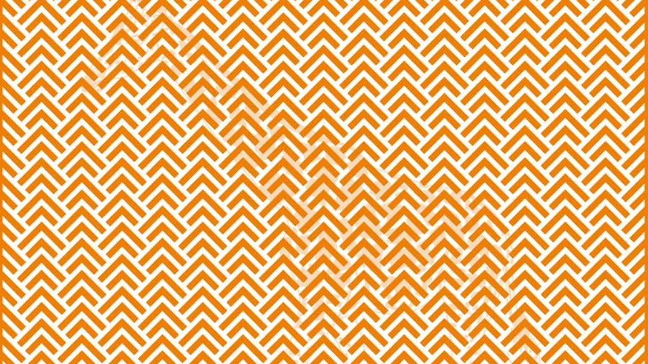 Iluzie optică virală | Ce se ascunde în această poză?