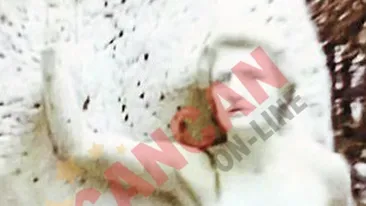 A furat de 12 ori mana muzei lui Eminescu