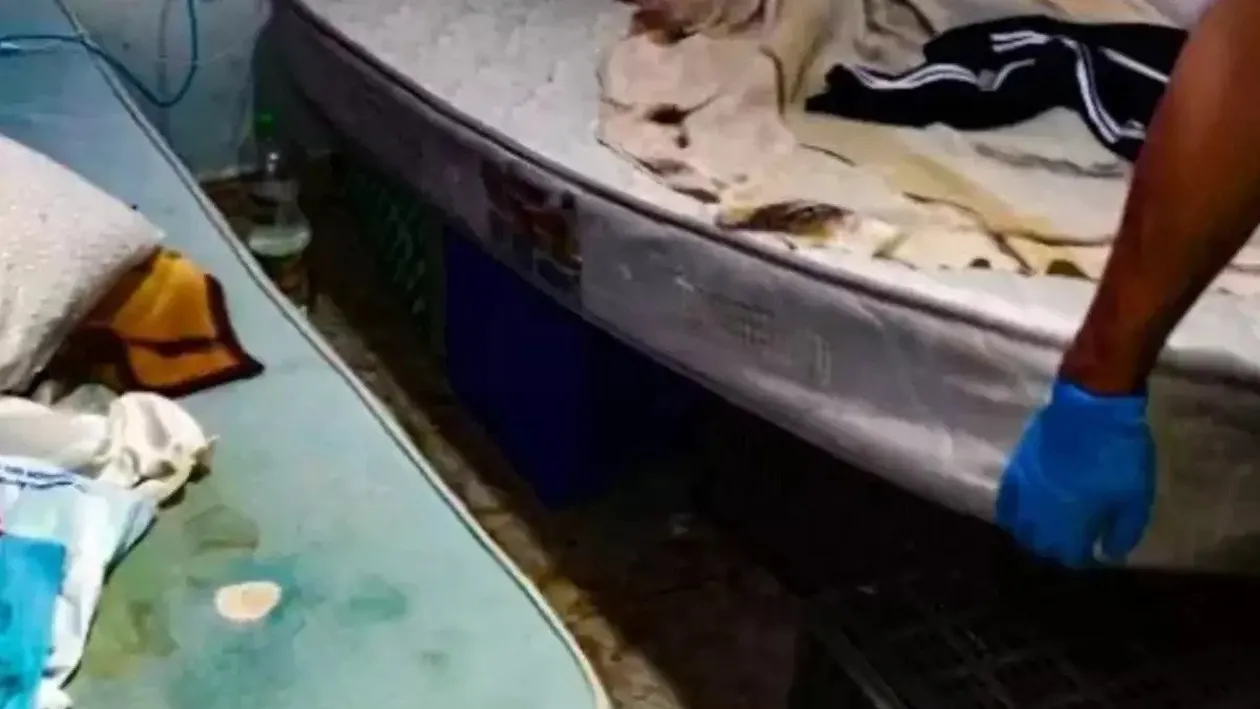 Caz șocant în Italia: o româncă era ținută în condiții inumane și muncea câte 19 ore. Femeia dormea pe lăzi de cartofi