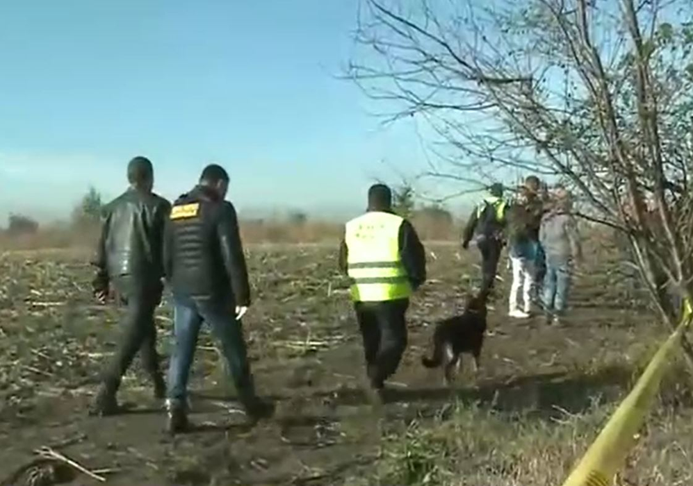Fragmente osoase, aparent umane, descoperite pe un câmp de la marginea Bucureștiului. Ce lucruri au găsit criminaliștii când au ajuns la fața locului