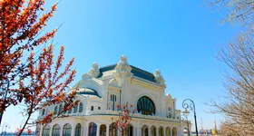 Galerie foto - poza 3